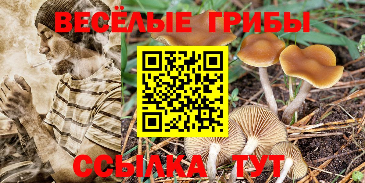 ГАШ  НБОМе  Вход с VPN  Камень-на-Оби  Меф   Меф МЯУ МЯУ  ЭКСТАЗИ 