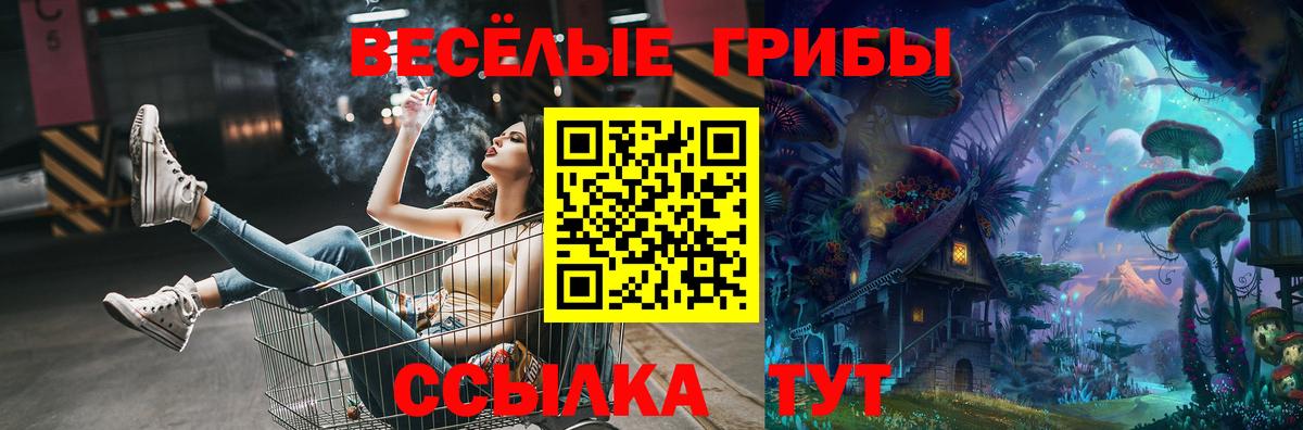 Лсд 25 Камень-на-Оби
